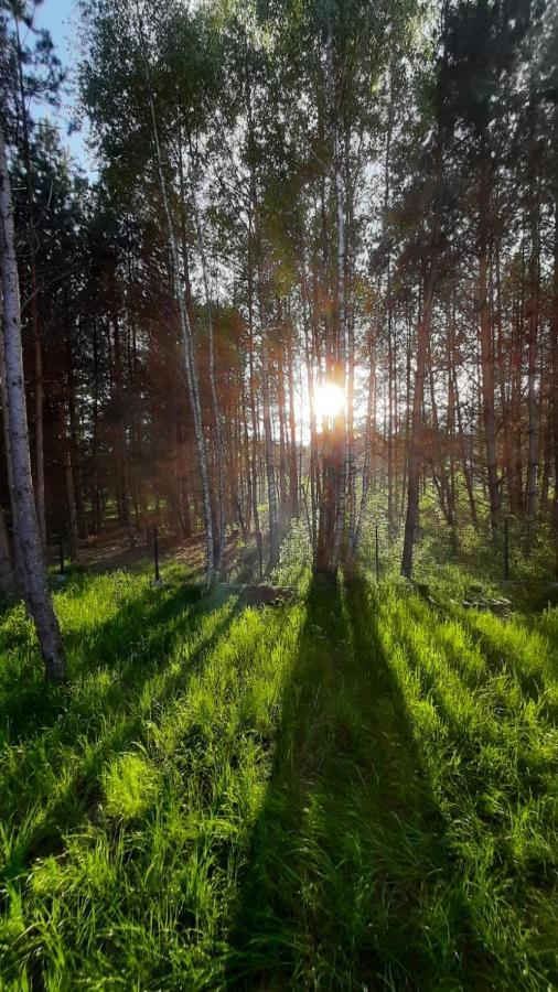 Trzy Sosny Plaska Villa Buitenkant foto